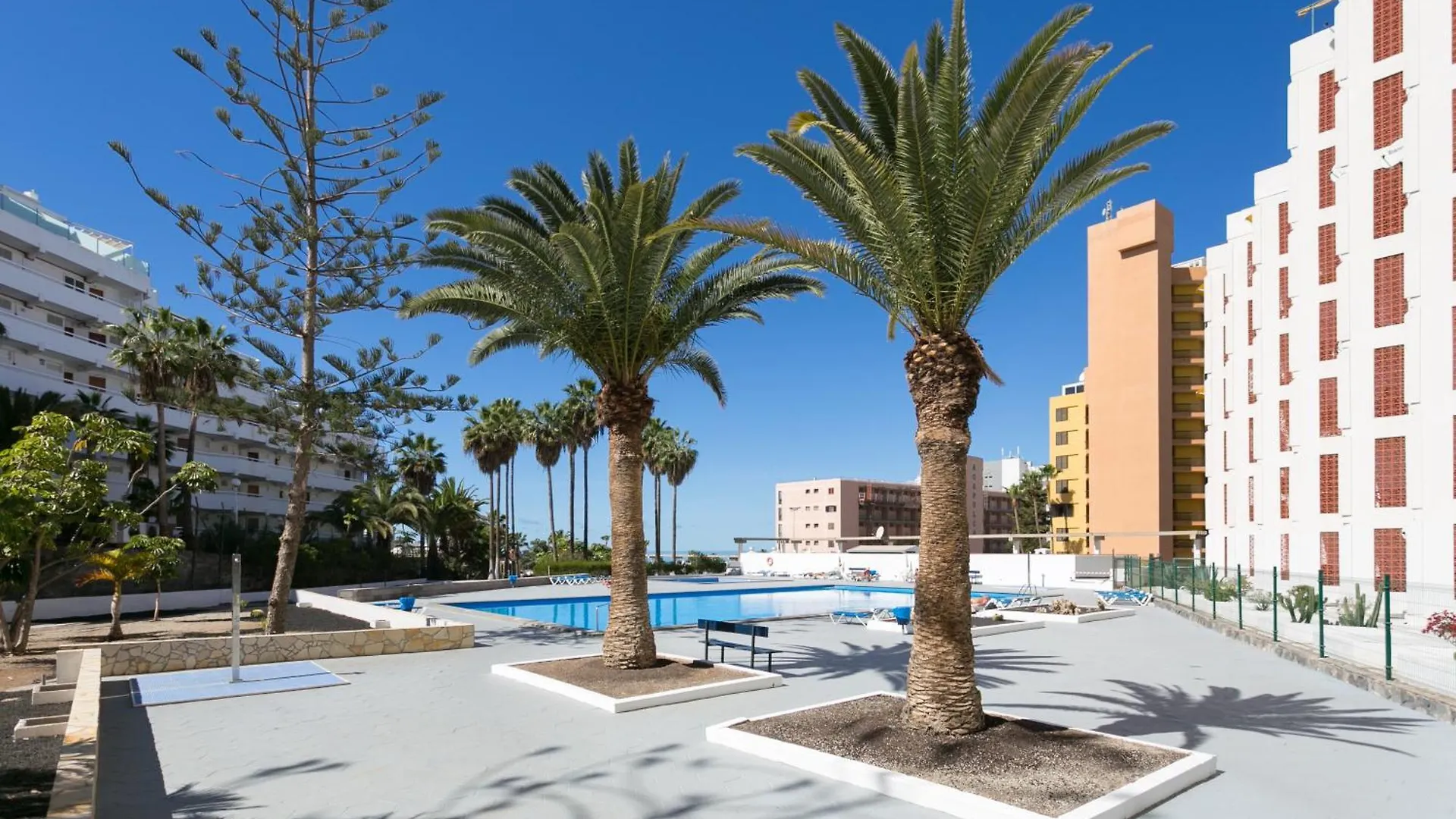 Cosy Apartment Near The Sea In Las Americas Playa de las Americas  Spagna